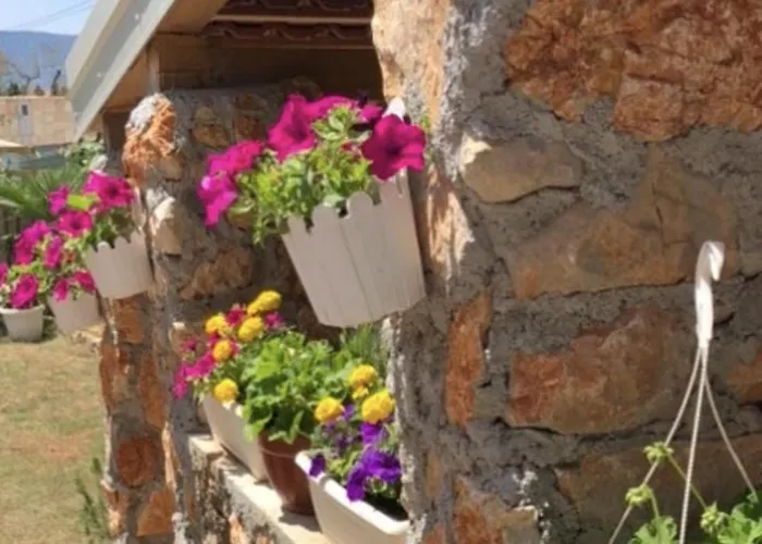 Apartman Haus 