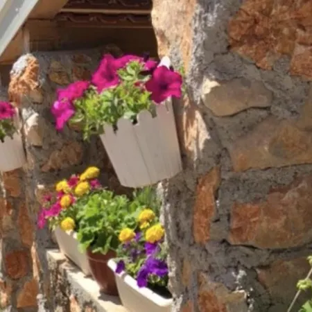 Διαμέρισμα Haus 